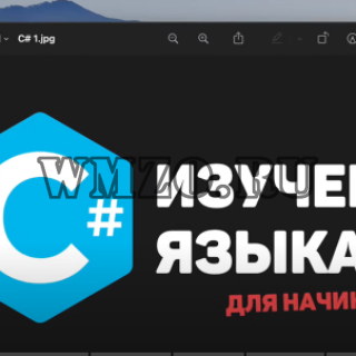 Изучение C# для начинающих