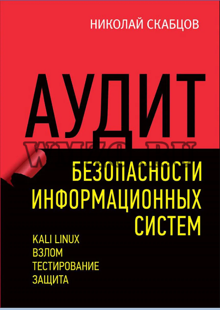 Аудит безопасности информационных систем