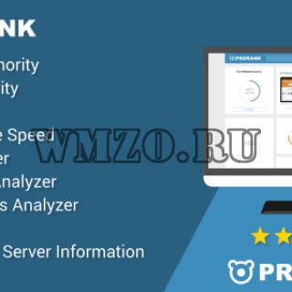 ProRank v4.0.1 -Скрипт анализа сайтов