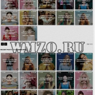 GridFlex - Адаптивная тема WordPress