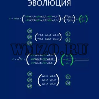 Нейронный сети. Эволюция