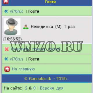 Невидимка - модуль Dcms-social