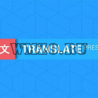 TranslatePress Business v2.5.5 NULLED - плагин перевода WordPress