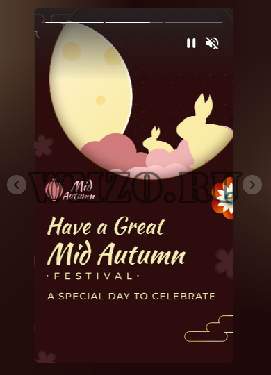 WP Story Premium v3.4.2 NULLED - сторисы в стиле Instagram для WordPress